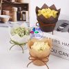 set-50-ly-cupcake-tulip - ảnh nhỏ  1