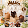 set-50-khuon-giay-cupcake-muffin-tulip - ảnh nhỏ 2