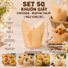 set-50-khuon-giay-cupcake-muffin-tulip - ảnh nhỏ 7