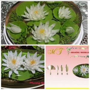 SET 4 KIM RAU CÂU HOA SÚNG