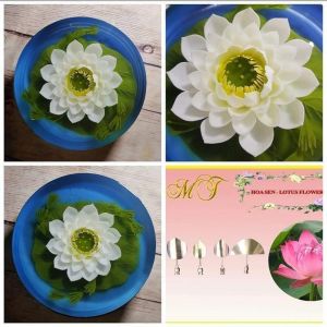 SET 4 KIM RAU CÂU HOA SEN