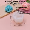 khuon-silicon-sen-da-bi024 - ảnh nhỏ 7
