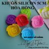 set-10-khuon-silicon-5cm - ảnh nhỏ 7