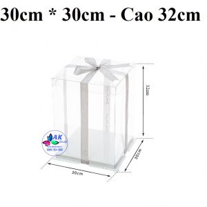 HỘP BÁNH MICA VUÔNG SIZE 30 - CAO 32