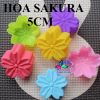 set-5-khuon-slc-hoa-sakura-5cm - ảnh nhỏ  1