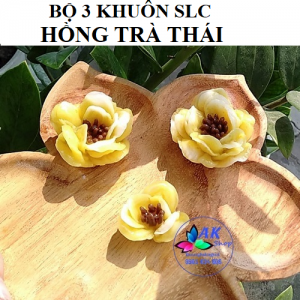 BỘ 3 KHUÔN SILICON HỒNG TRÀ THÁI