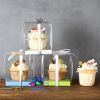 hop-mica-cupcake-1-banh-vuong - ảnh nhỏ 6