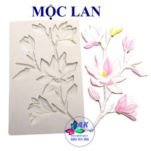KHUÔN SILICON MỘC LAN