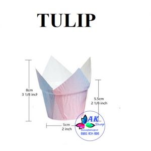 SET 50 LY CUPCAKE TULIP CẦU VỒNG