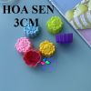 set-5-khuon-slc-hoa-sen-3cm - ảnh nhỏ  1