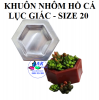 khay-nhom-gia-cong-ho-ca-luc-giac - ảnh nhỏ  1