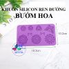 khuon-silicon-ren-duong-buom-hoa - ảnh nhỏ 2