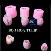 bo-3-khuon-silicon-hoa-tulip - ảnh nhỏ 2