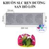 khuon-silicon-ren-trang-tri-san-ho-lon - ảnh nhỏ 2