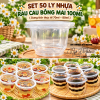 set-50-hu-nhua-rau-cau-bong-mai-100ml - ảnh nhỏ 2