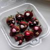 set-10-hop-nhua-mousse-vuong-nap-lien-ch205 - ảnh nhỏ 4