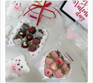 SET 10 HỘP NHỰA MOUSSE VUÔNG NẮP LIỀN ( CH205)