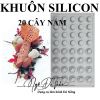 khuon-silicon-mousse-20-cay-nam - ảnh nhỏ  1