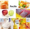 bot-pectin-duc-50gr - ảnh nhỏ  1