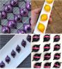 khuon-nhua-socola-bonbon-as-21-qua-chanh - ảnh nhỏ 2