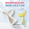 khuon-silicon-duoi-ca - ảnh nhỏ 5
