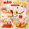 meo-than-tai-nhua-tay-co-dinh - ảnh nhỏ  1