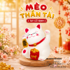 meo-than-tai-nhua-tay-co-dinh - ảnh nhỏ 2