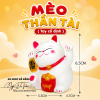 meo-than-tai-nhua-tay-co-dinh - ảnh nhỏ 3