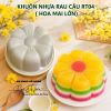 khuon-nhua-rau-cau-9cm-rt04-hoa-mai-dai - ảnh nhỏ  1