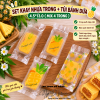 set-10-khay-nhua-tui-banh-dua-4-513-4 - ảnh nhỏ 5