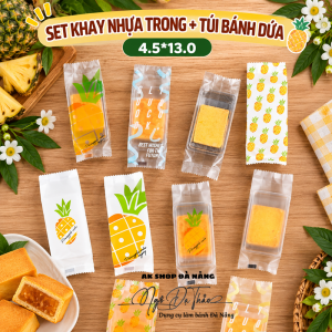 Set 10 khay nhựa  +  túi bánh dứa 4.5*13.4