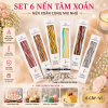 nen-tam-xoan-cao-16cm-6-cay/vi - ảnh nhỏ 3