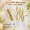 nen-tam-xoan-cao-16cm-6-cay/vi - ảnh nhỏ 6