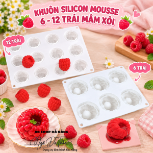 Khuôn silicon mousse quả mâm xôi
