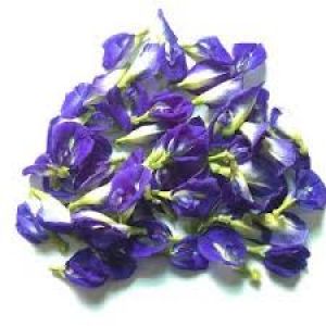 HOA ĐẬU BIẾC KHÔ 20GR